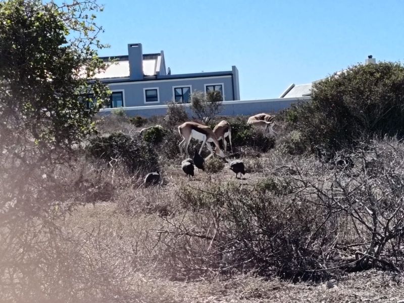 North-Facing Excellence - Photo 5