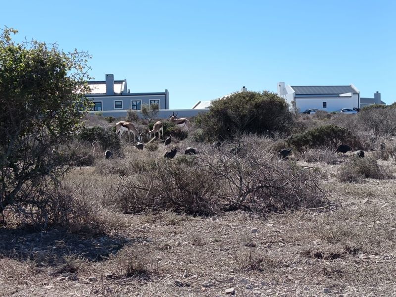 North-Facing Excellence - Photo 7