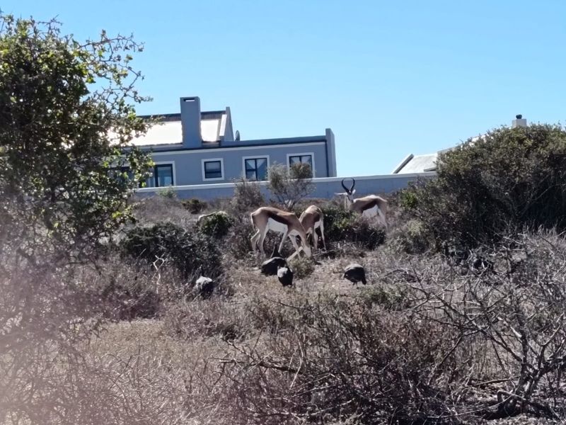 North-Facing Excellence - Photo 6