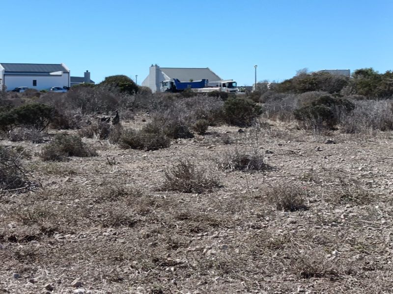 North-Facing Excellence - Photo 4