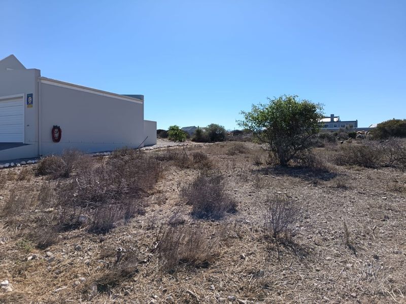 North-Facing Excellence - Photo 2