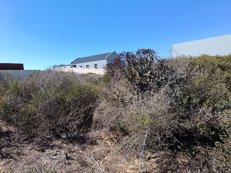 Elevated Coastal Living - Photo 5