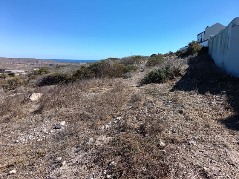 A view of the vacant residential land featuring natural coastal vegetation and a boundary wall, with distant ocean views.
