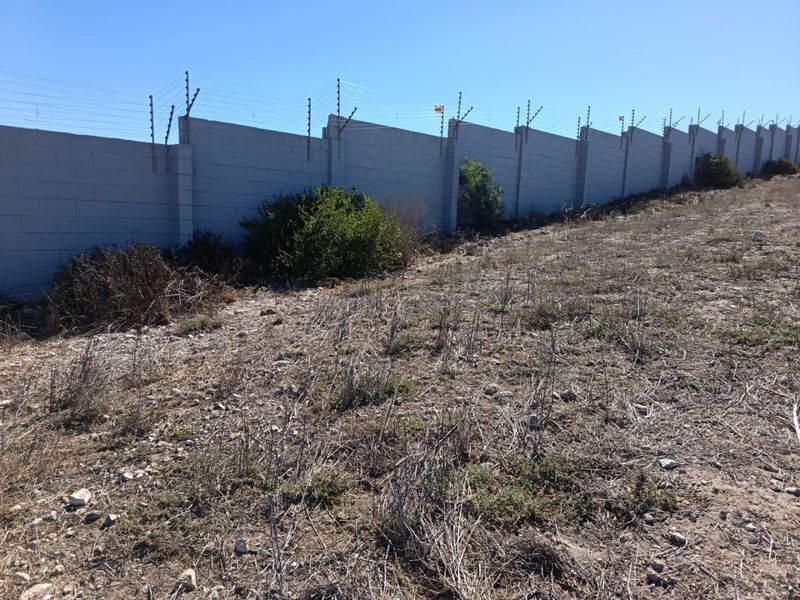 Coastal Serenity - Photo 10