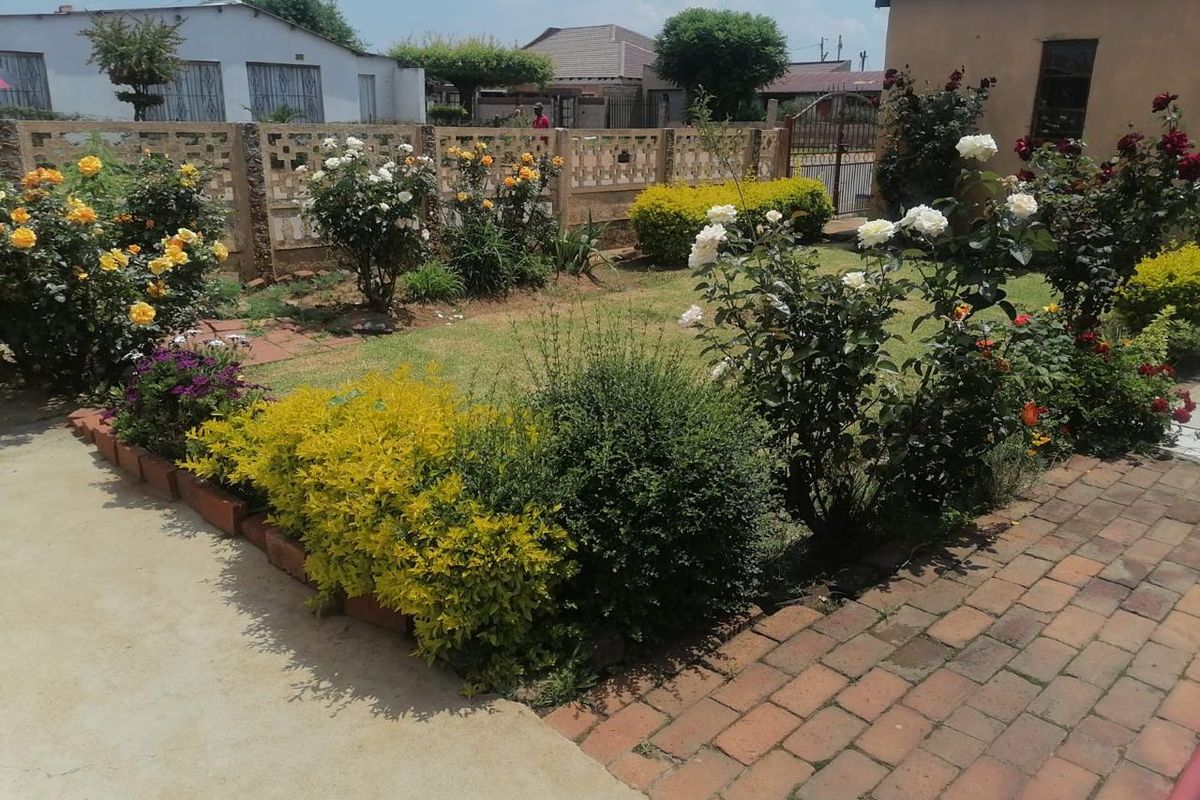 Two bedroom house to rent - Photo 3