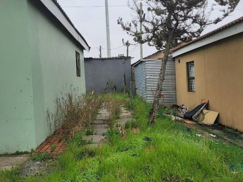A narrow rear exterior space between two structures featuring overgrown grass, paved pathways, and a corrugated metal storage shed.