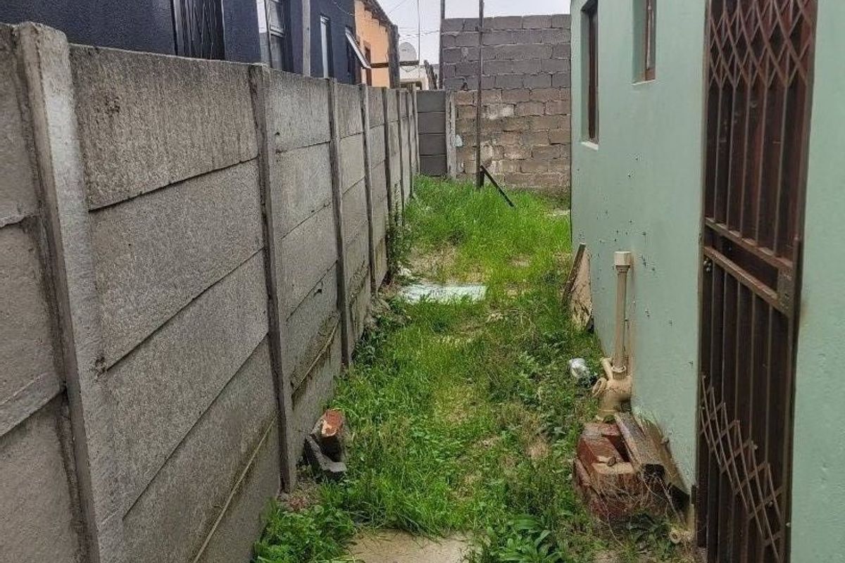 A narrow side passage or rear exterior area featuring a precast concrete boundary wall and overgrown ground cover requiring maintenance.