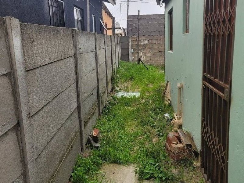 A narrow side passage or rear exterior area featuring a precast concrete boundary wall and overgrown ground cover requiring maintenance.