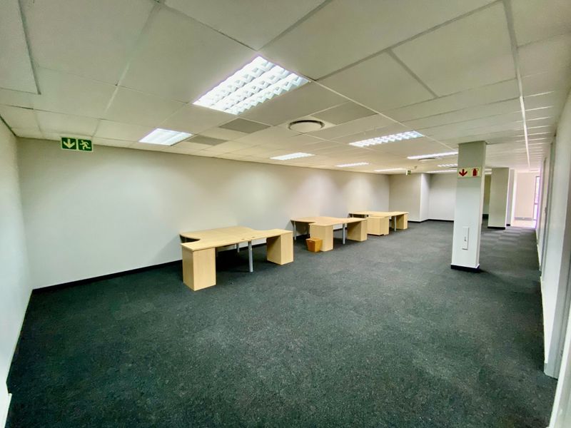 Open-plan commercial office space featuring a suspended ceiling, recessed lighting, and carpeted flooring, providing a functional and versatile workspace environment.