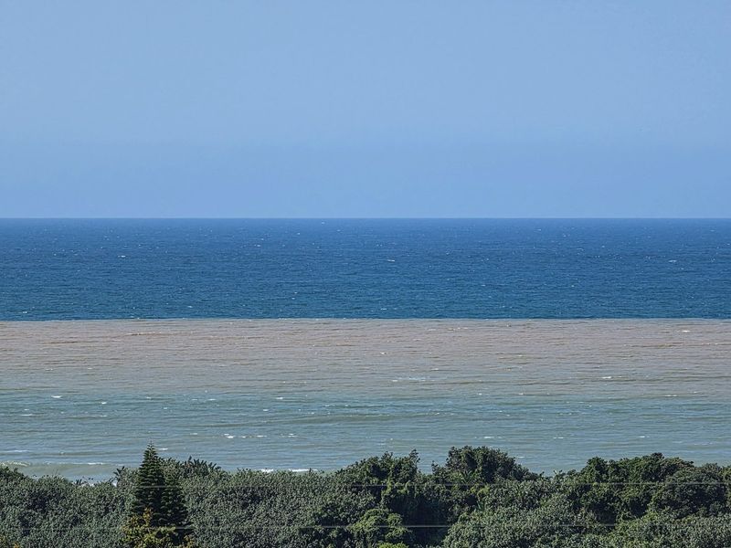 Two Houses On 0ne Property With Sea Views - Photo 8