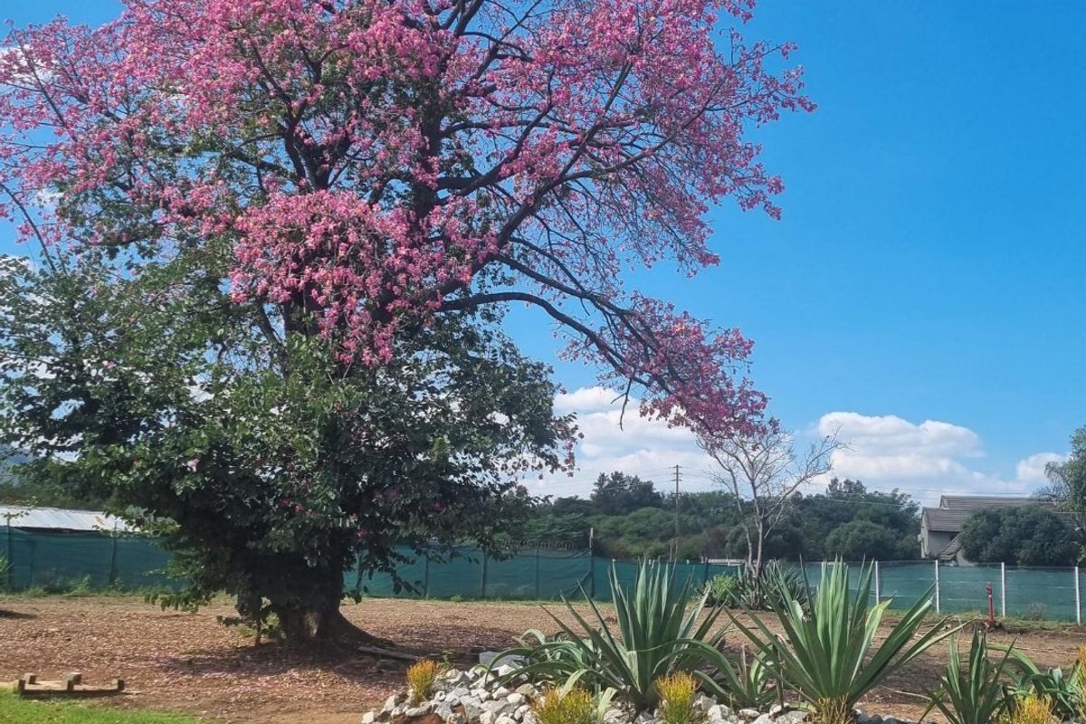 Welcome to The Clarinet 2 BEDROOM APARTMENT  GROUND FLOOR - Photo 3