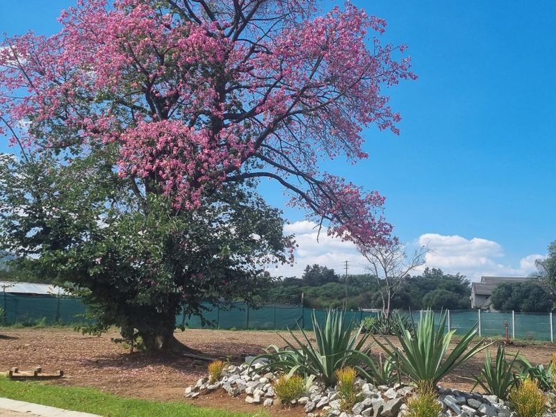 Welcome to The Clarinet 2 BEDROOM APARTMENT  GROUND FLOOR - Photo 3