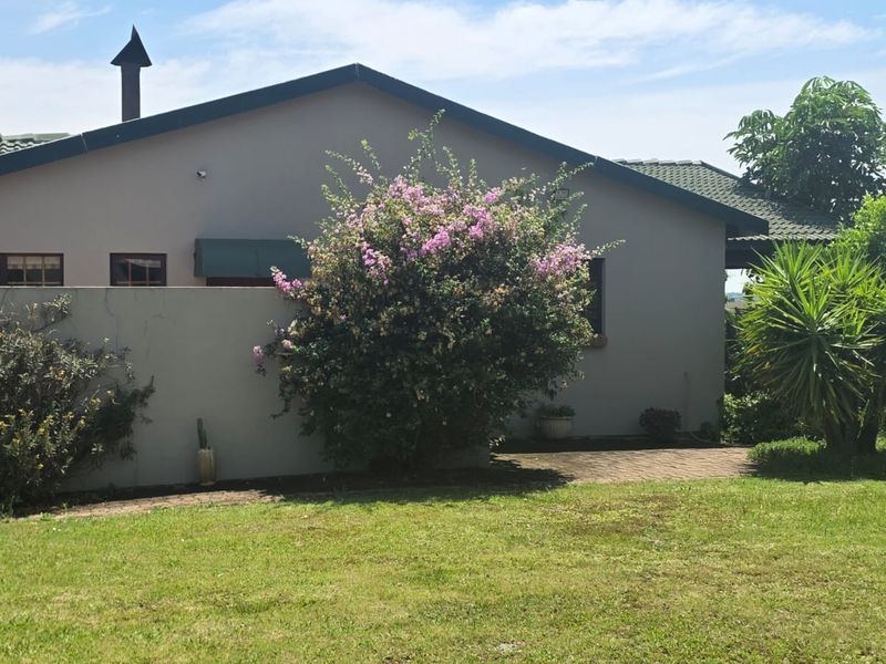 Rear view of the farm property featuring a paved patio area, boundary wall, and established garden landscaping.