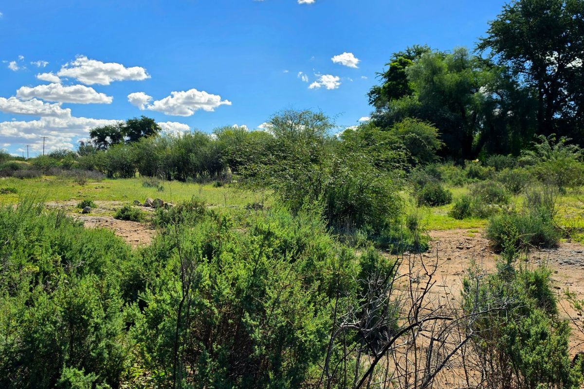 A view of the vacant residential land featuring natural vegetation and open terrain.