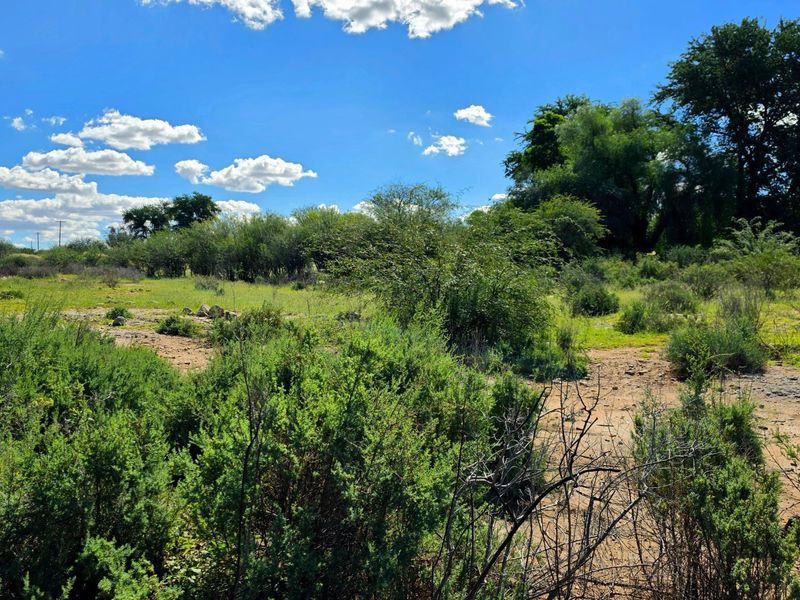 A view of the vacant residential land featuring natural vegetation and open terrain.