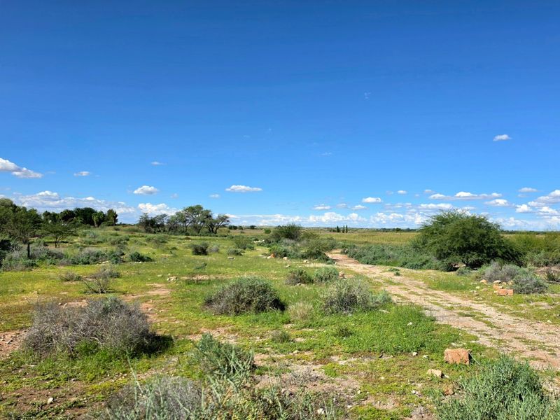 A wide-angle view of a vacant residential plot featuring natural vegetation and an unpaved access track under a clear blue sky.