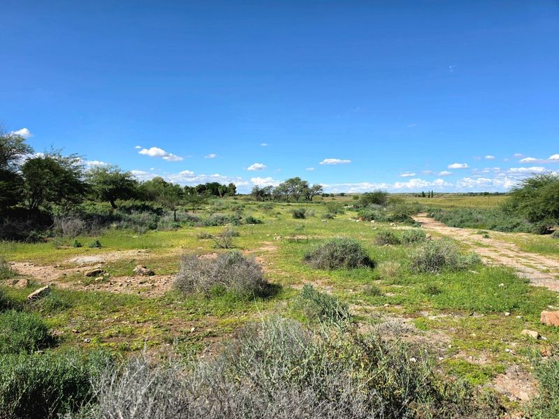 A view of a vacant residential plot featuring natural vegetation and an unpaved access path under a clear blue sky.