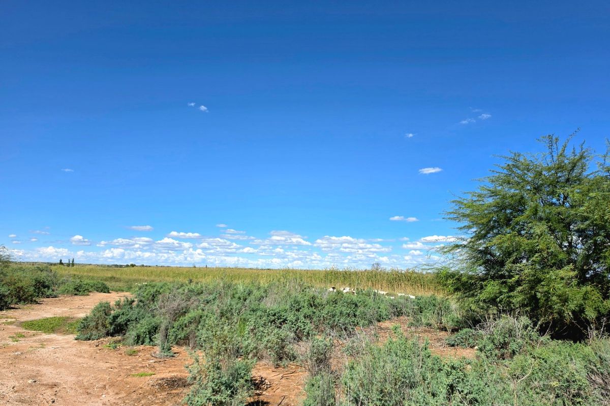 A view of an expansive, undeveloped residential plot featuring natural vegetation and open terrain under a clear blue sky.