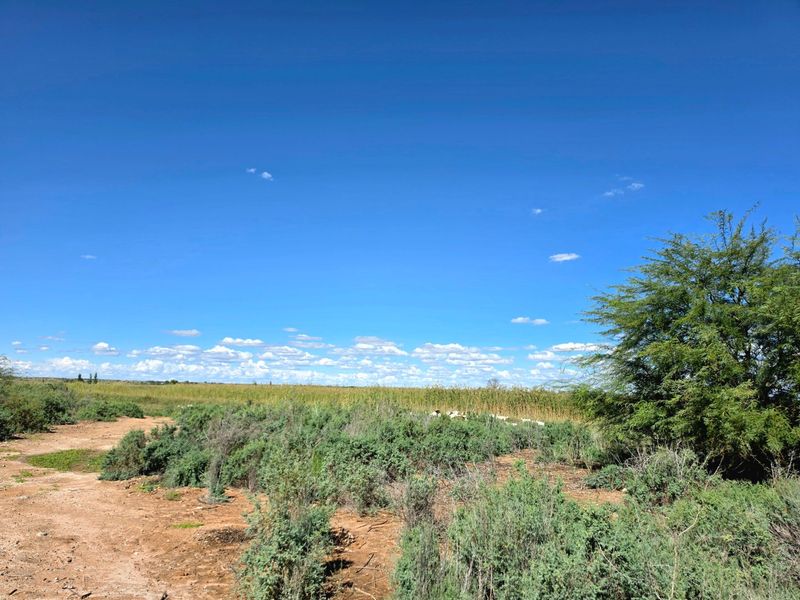 A view of an expansive, undeveloped residential plot featuring natural vegetation and open terrain under a clear blue sky.