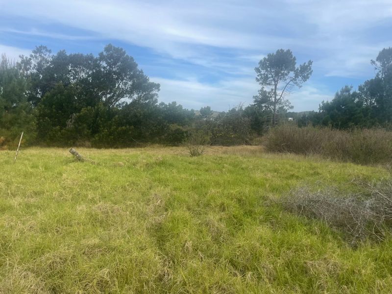 Strategic Coastal Development Opportunity – Keurbooms - Photo 2