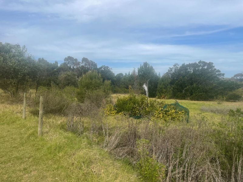 Strategic Coastal Development Opportunity – Keurbooms - Photo 4