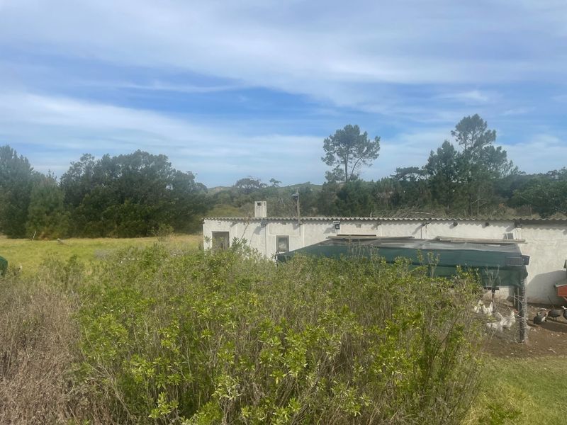 Strategic Coastal Development Opportunity – Keurbooms - Photo 5