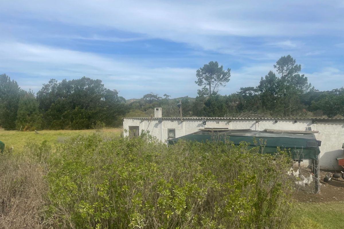 Rear view of a residential structure on a large plot, featuring masonry walls, a chimney, and surrounding natural landscape.