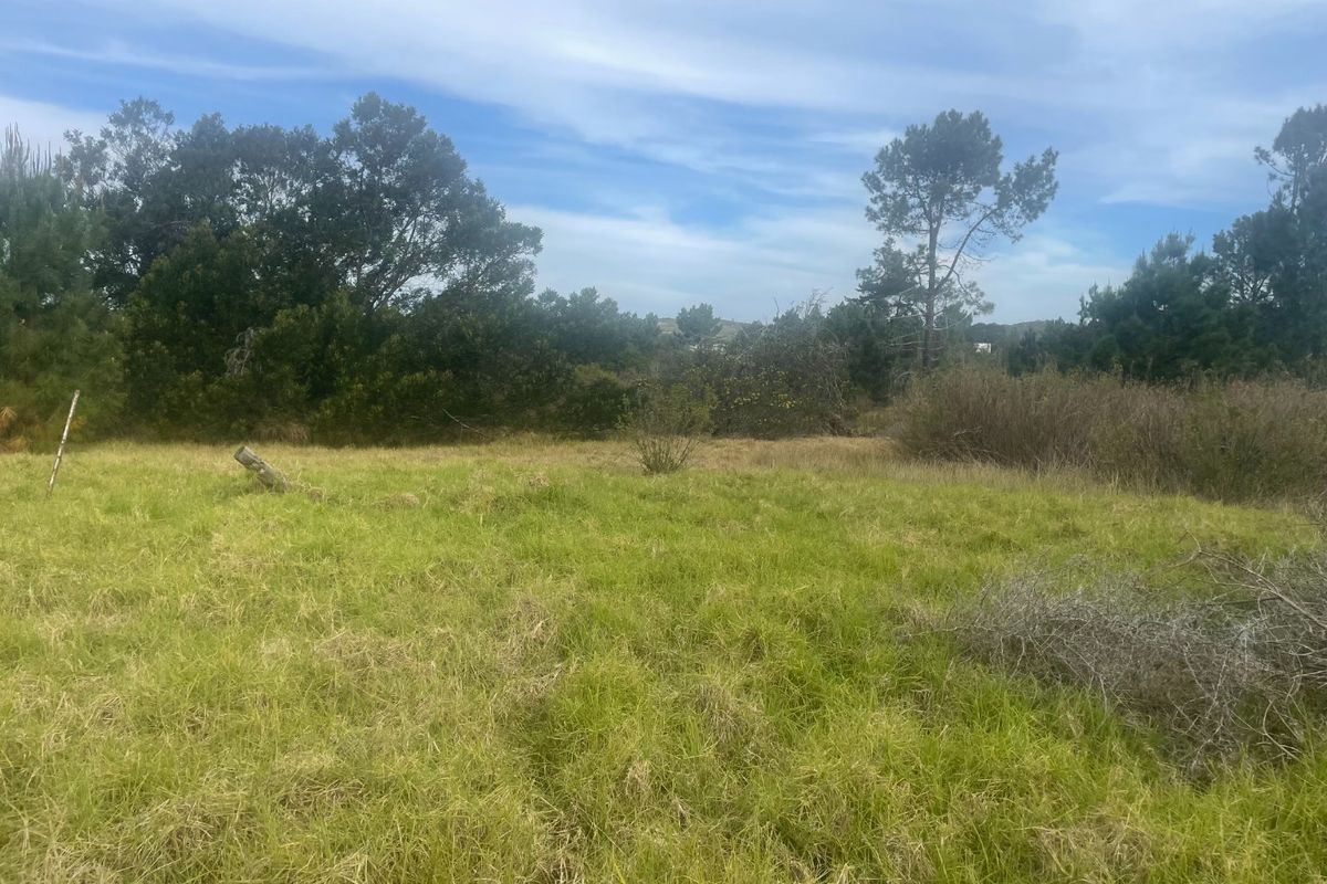 A view of a vacant residential plot featuring natural grassland and mature trees, offering a blank canvas for future development.