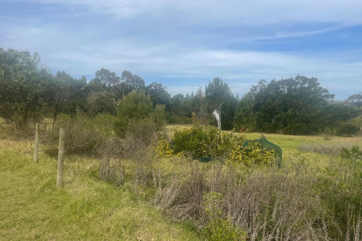 A view of a vacant residential plot featuring natural vegetation and timber fence posts.