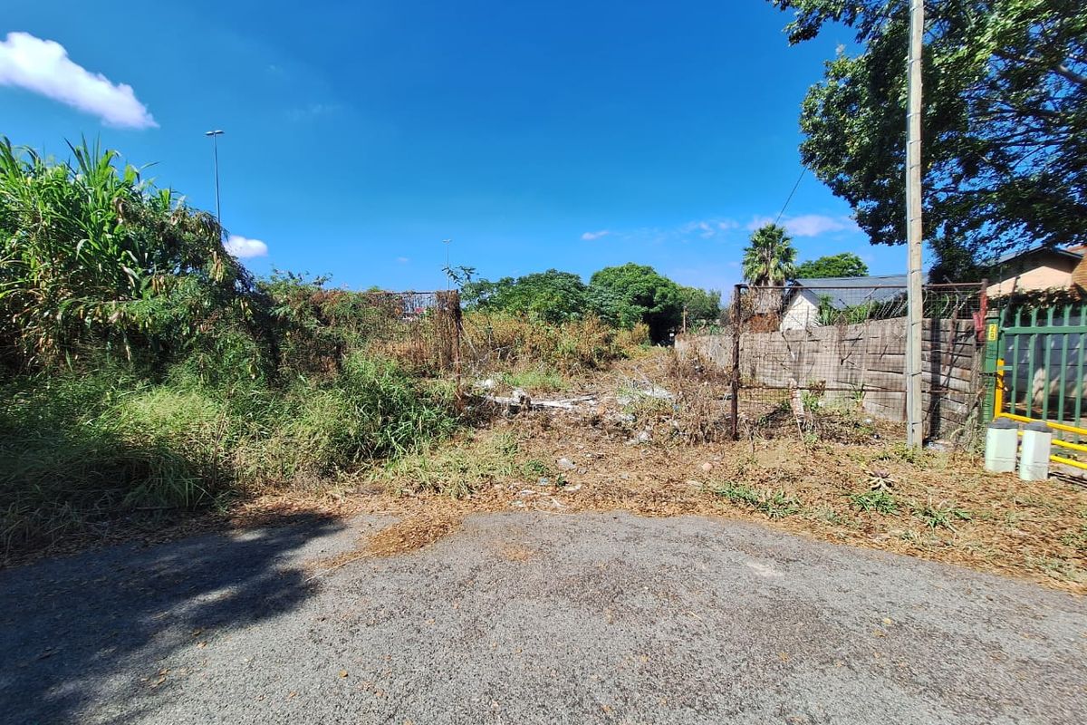 A vacant residential plot featuring perimeter fencing, a concrete boundary wall, and an asphalt driveway entrance, currently requiring clearing of vegetation and debris.