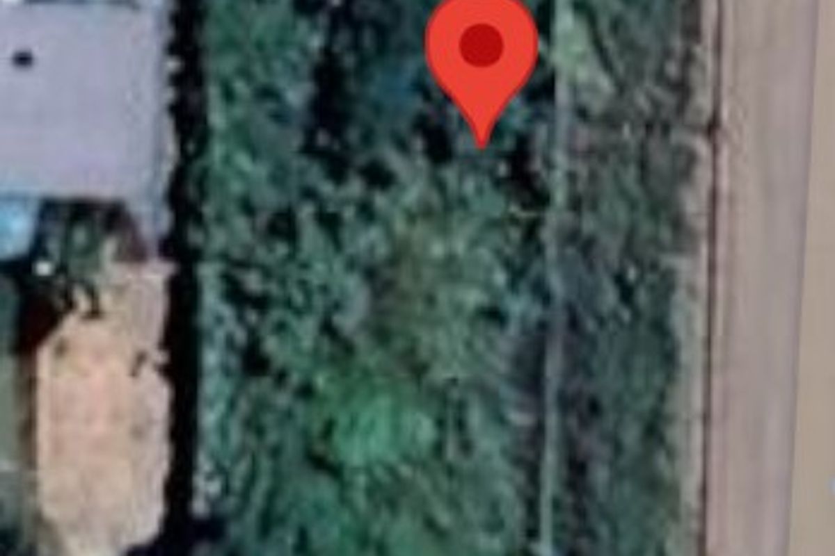 An aerial view of a vacant residential plot featuring dense vegetation and established boundary lines.