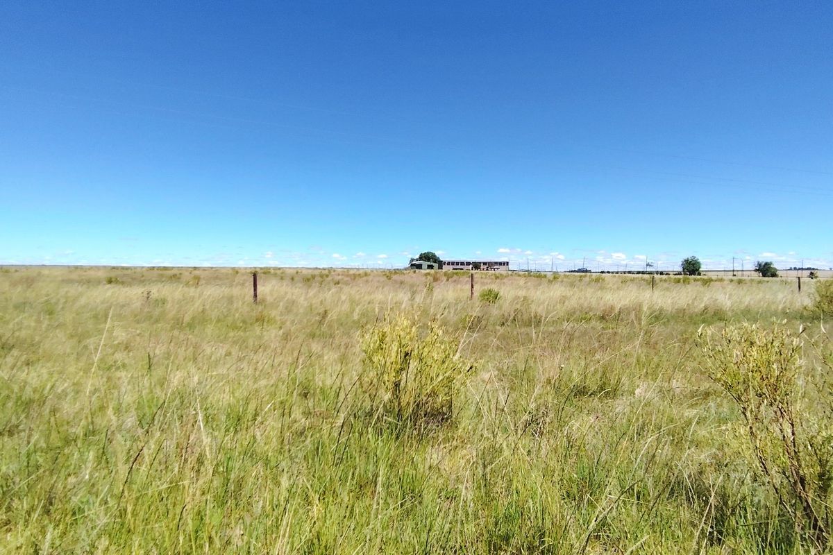 32 Hectare Farm on the Banks of the Vaal Dam – Endless Potential in Goede Hoop, Metsimaholo - Photo 3