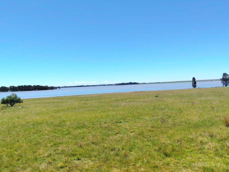 32 Hectare Farm on the Banks of the Vaal Dam – Endless Potential in Goede Hoop, Metsimaholo - Photo 10