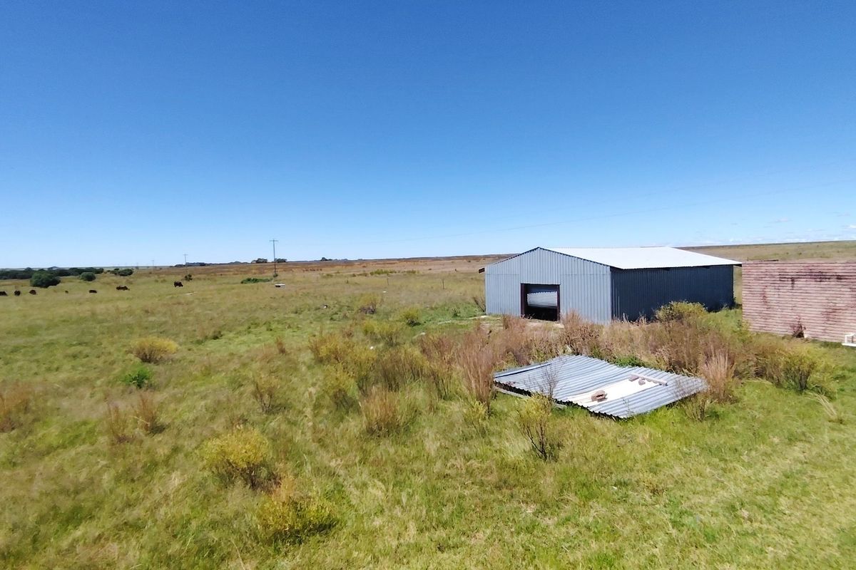 32 Hectare Farm on the Banks of the Vaal Dam – Endless Potential in Goede Hoop, Metsimaholo - Photo 5