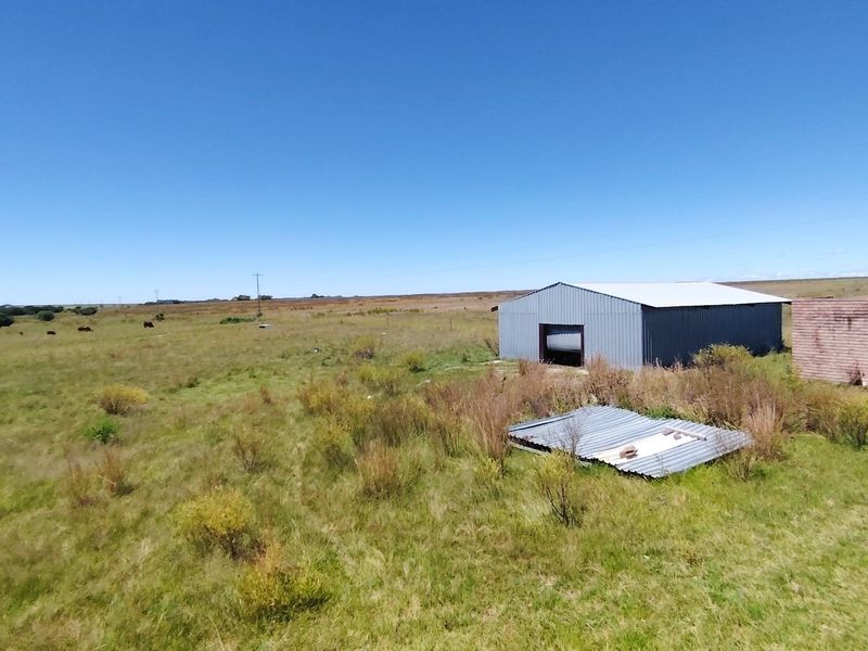 32 Hectare Farm on the Banks of the Vaal Dam – Endless Potential in Goede Hoop, Metsimaholo - Photo 5