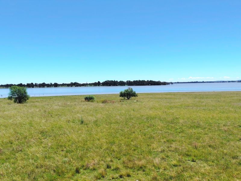 32 Hectare Farm on the Banks of the Vaal Dam – Endless Potential in Goede Hoop, Metsimaholo - Photo 9