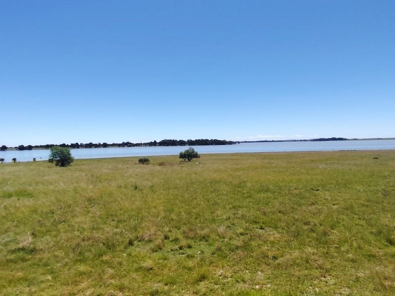 32 Hectare Farm on the Banks of the Vaal Dam – Endless Potential in Goede Hoop, Metsimaholo - Photo 7