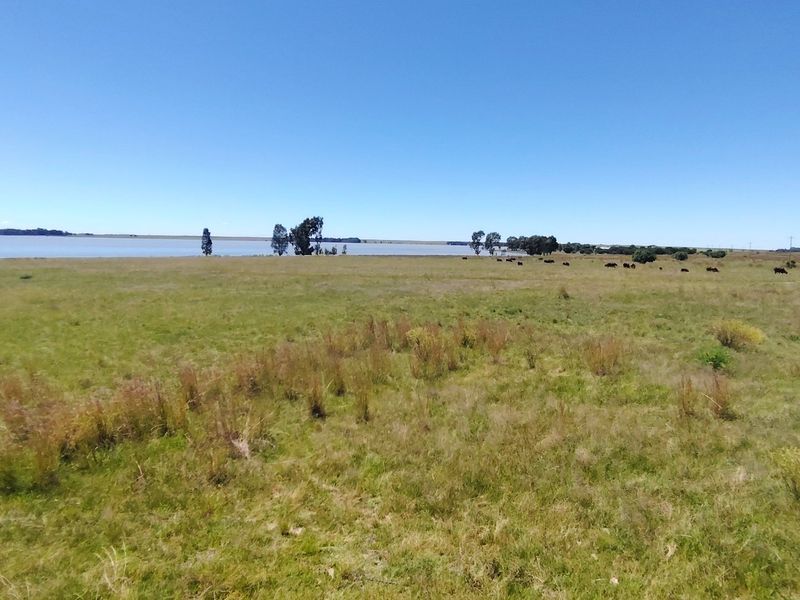 32 Hectare Farm on the Banks of the Vaal Dam – Endless Potential in Goede Hoop, Metsimaholo - Photo 6