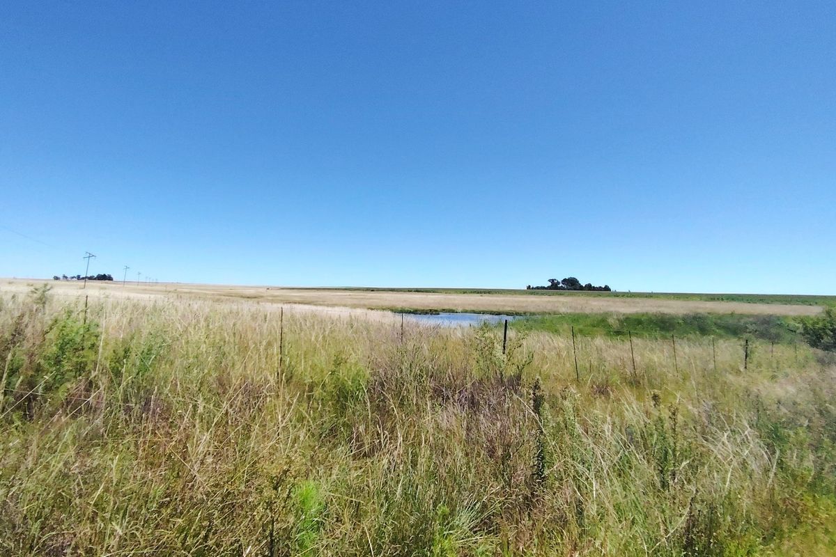 32 Hectare Farm on the Banks of the Vaal Dam – Endless Potential in Goede Hoop, Metsimaholo - Photo 4