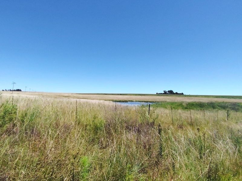 32 Hectare Farm on the Banks of the Vaal Dam – Endless Potential in Goede Hoop, Metsimaholo - Photo 4
