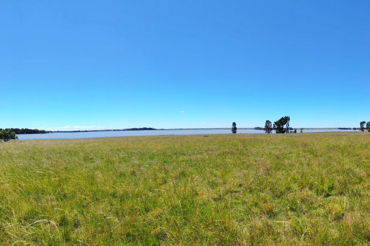 32 Hectare Farm on the Banks of the Vaal Dam – Endless Potential in Goede Hoop, Metsimaholo - Photo 2