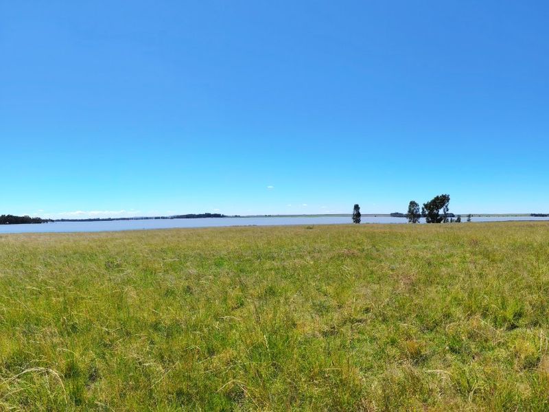 32 Hectare Farm on the Banks of the Vaal Dam – Endless Potential in Goede Hoop, Metsimaholo - Photo 2