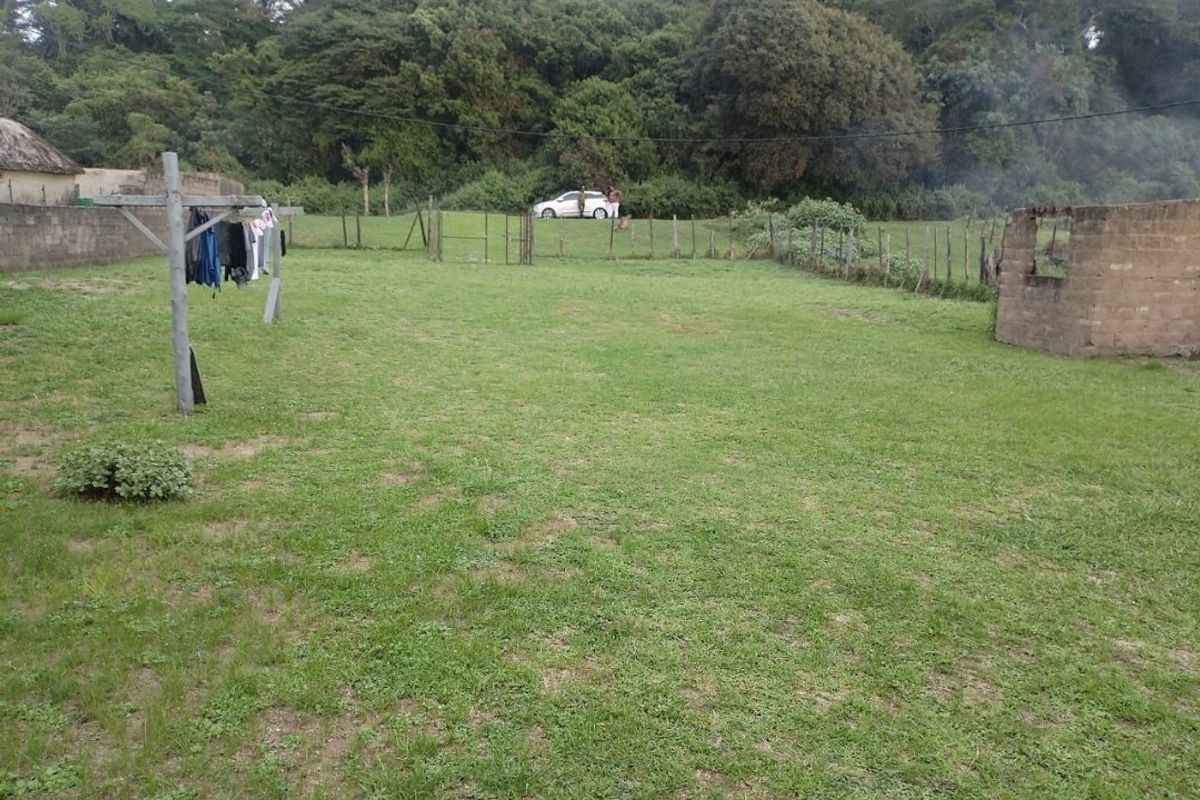 Two bedrooms house for sale in Mzingazi area. - Photo 4