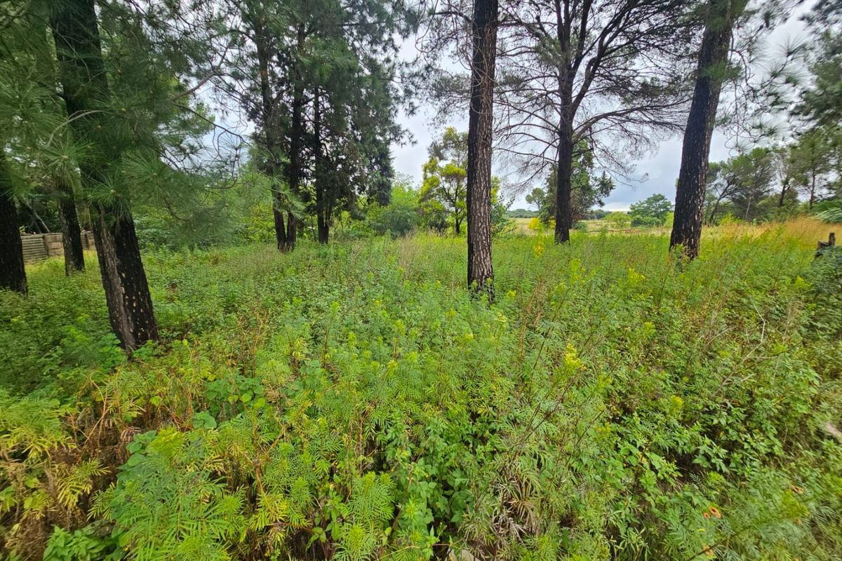 Prime Land for sale right off the R55 - Photo 4