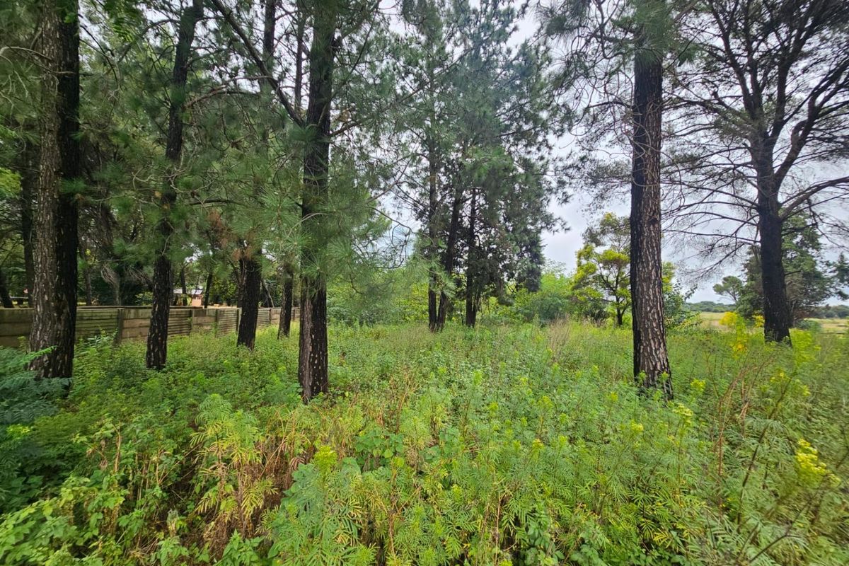 Prime Land for sale right off the R55 - Photo 2
