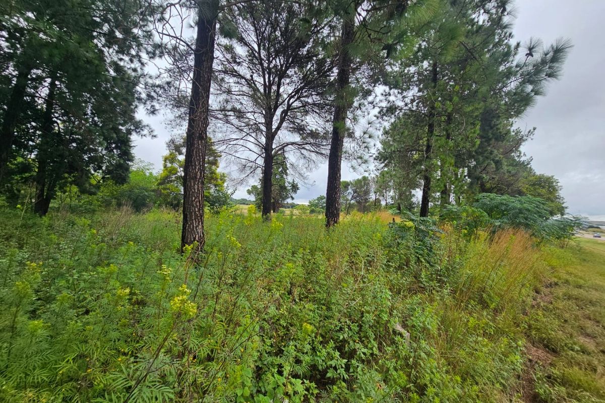 Prime Land for sale right off the R55 - Photo 3
