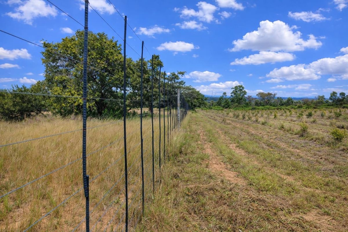 Lifestyle farm for sale - Photo 3