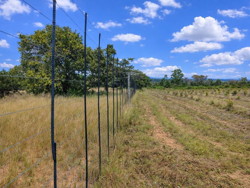 Lifestyle farm for sale - Photo 3