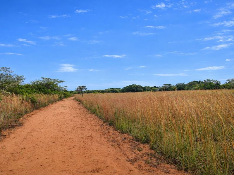 Lifestyle farm for sale - Photo 4