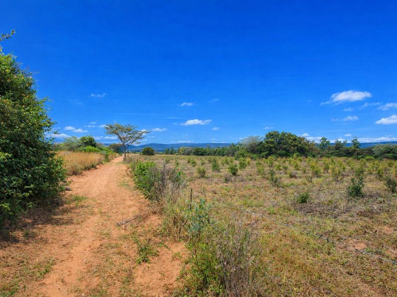 Lifestyle farm for sale - Photo 9